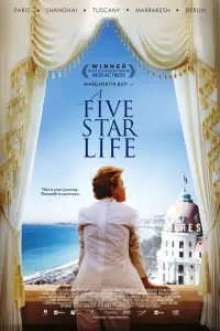 Poster to the movie "A Five Star Life" #1018102