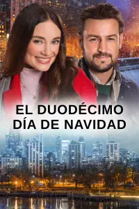 Poster to the movie "On the 12th Date of Christmas" #1117121