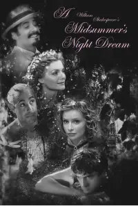 Poster to the movie "A Midsummer Night