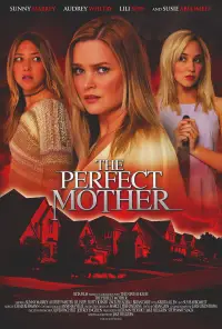 Poster to the movie "Almost Perfect" #1162788