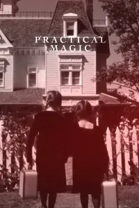 Poster to the movie "Practical Magic" #804887