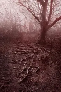 Poster to the movie "Killer Legends" #693055