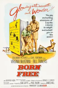 Poster to the movie "Born Free" #987613