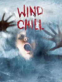 Poster to the movie "Wind Chill" #993316