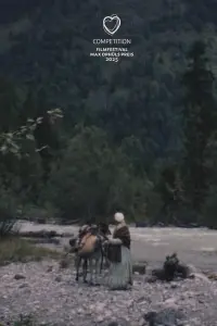 Poster to the movie "Gold Rush" #680787