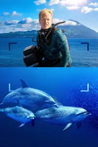 Poster to the movie "Dolphins Up Close with Bertie Gregory" #883257