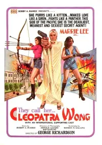 Poster to the movie "Cleopatra Wong" #1069591