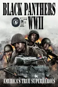 Poster to the movie "Black Panthers of WWII" #1024545