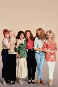 Poster to the movie "Steel Magnolias" #808493