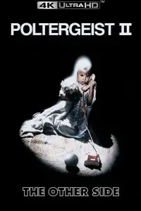 Poster to the movie "Poltergeist II: The Other Side" #956450