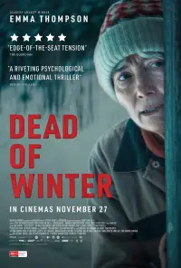 Poster to the movie "The Dead of Winter" #1052443