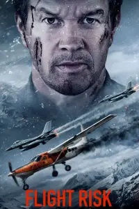 Poster to the movie "Flight Risk" #576339
