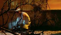 Backdrop to the movie "Querelle" #827702