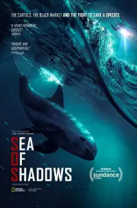 Poster to the movie "Sea of Shadows" #989961