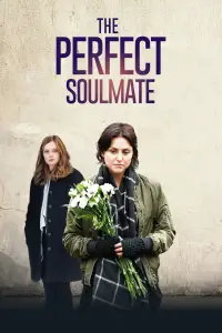 Poster to the movie "The Perfect Soulmate" #1212669