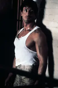Poster to the movie "Lock Up" #727454