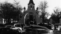 Backdrop to the movie "Chekhovian Motifs" #838297