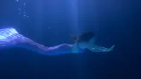 Backdrop to the movie "The Mermaids: The Secret of the Medallion" #740627