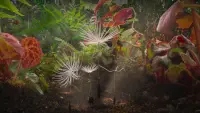 Backdrop to the movie "Dandelion
