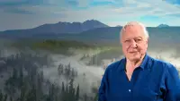 Backdrop to the movie "David Attenborough