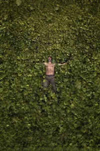 Poster to the movie "Solitarium" #729567