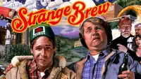 Backdrop to the movie "Strange Brew" #949788