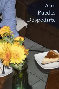 Poster to the movie "Aún puedes despedirte" #786795