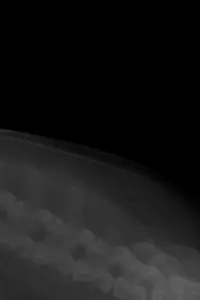 Poster to the movie "COYOTE." #657890