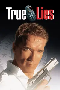Poster to the movie "True Lies" #935704
