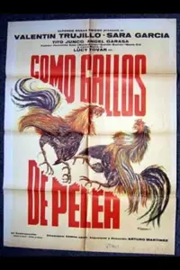 Poster to the movie "Como gallos de pelea" #1193504