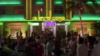Backdrop to the movie "The Birdcage" #682828