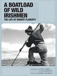 Poster to the movie "A Boatload of Wild Irishmen" #896731