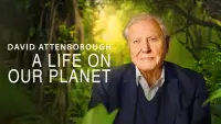 Backdrop to the movie "David Attenborough: A Life on Our Planet" #1134447