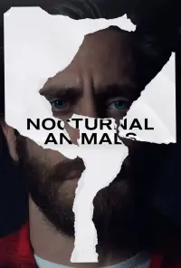 Poster to the movie "Nocturnal Animals" #506708