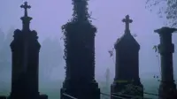 Backdrop to the movie "The Iron Rose" #782252
