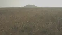 Backdrop to the movie "Volcano" #773643