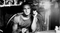 Backdrop to the movie "Marlon Brando: An Actor Named Desire" #1156960