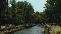 Backdrop to the movie "The Observer
