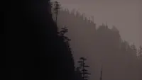 Backdrop to the movie "Twin Peaks: Fire Walk with Me" #711813