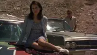 Backdrop to the movie "Zack and Reba" #734324