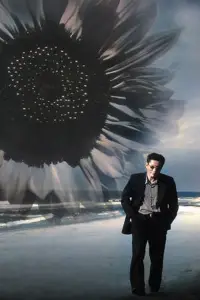 Poster to the movie "Fireworks" #711002