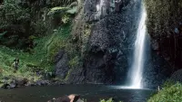 Backdrop to the movie "Gauguin: Voyage to Tahiti" #787501