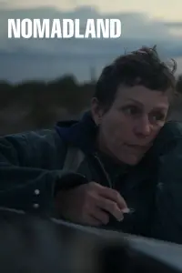 Poster to the movie "Nomadland" #674218