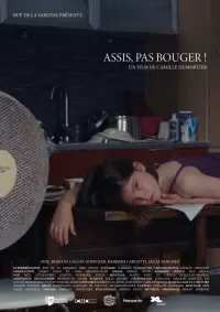 Poster to the movie "Assis, pas bouger" #792500