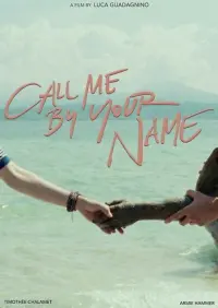 Poster to the movie "Call Me by Your Name" #832923