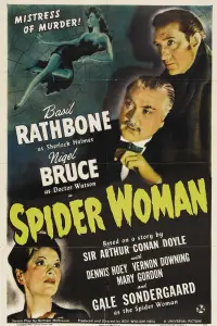 Poster to the movie "The Spider Woman" #962703