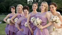 Backdrop to the movie "Bridesmaids" #854386