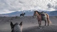 Backdrop to the movie "The Road to Patagonia" #785199