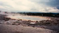 Backdrop to the movie "Journey to the Center of the Sound" #597726