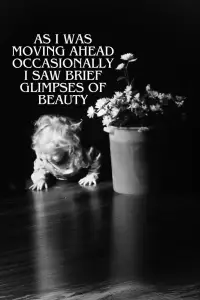 Poster to the movie "As I Was Moving Ahead, Occasionally I Saw Brief Glimpses of Beauty" #993361